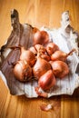 Shallot Royalty Free Stock Photo