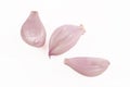 Shallot Offsets Royalty Free Stock Photo