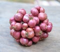 Shallot onions Royalty Free Stock Photo