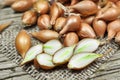 Shallot onions Royalty Free Stock Photo