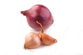 Shallot and Red Onion Royalty Free Stock Photo