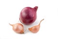 Shallot and Red Onion Royalty Free Stock Photo