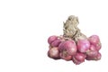 Shallot or red onion isolated white background. Royalty Free Stock Photo