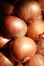 Shallots