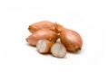 Shallots