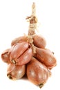 Shallots