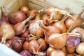 Shallots