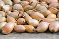 Shallots drying after harvest