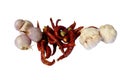 Shallots garlic dry chili pepper Royalty Free Stock Photo