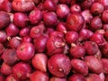 Shallots that have been harvested and cleaned and ready to be sold