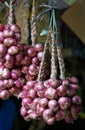 Shallots hung up on display Royalty Free Stock Photo