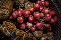 Shallots are an important cash crop of southeast asia Royalty Free Stock Photo