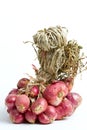 Shallots isolated on white.