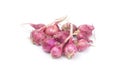 Shallots on isolated white background Royalty Free Stock Photo