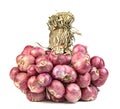 Shallots onion isolated on a white background