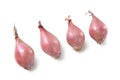 Shallots onion on white background, bulbs, top view Scalogno