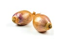 Shallots onion on a white background