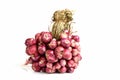 Shallots. Royalty Free Stock Photo