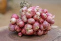 Shallots still on wood background Royalty Free Stock Photo