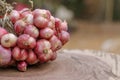 Shallots still on wood background Royalty Free Stock Photo