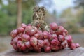 Shallots still on wood background Royalty Free Stock Photo