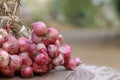 Shallots still on wood background Royalty Free Stock Photo