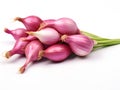 Shallots will form clusters. It has a head that consists of many petals. Generative AI.