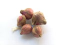 Shallots & x28;Allium cepa L. var. aggregatum& x29; are one of the world& x27;s main cooking spices originating.