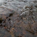 Shallow abstract turbulent water motion, fast stream current over stones, small surge on surface, natural forces