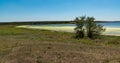 Shallow bay with an abundance of macrophyte algae near the shore Royalty Free Stock Photo