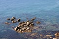 Shallow blue water of rocky seashore