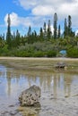 Shallow brackish river stream flowing with direction sign of Piscine Naturelle at Ile des Pins, New Caledonia.