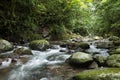 Brook flowing among stones Royalty Free Stock Photo