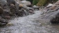 A shallow brook running through the woods.