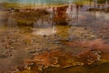 Shallow Colorful Waters of Yellowstone Royalty Free Stock Photo