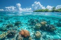 Shallow coral reef with clear water above Royalty Free Stock Photo