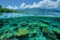 Shallow coral reef with clear water above Royalty Free Stock Photo