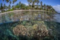 Shallow Coral Reef and Island 3 Royalty Free Stock Photo