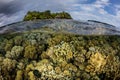 Shallow Coral Reef and Remote Island Royalty Free Stock Photo