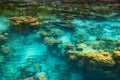 Shallow coral reef in turquoise transparent water, Indonesia Royalty Free Stock Photo