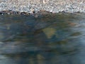 Shallow creek with rapid water flow and gravel shore, landscape detail