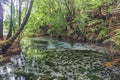 Shallow, crystal clear water of Dancing Sands Spring in Rotorua, New Zealand. Royalty Free Stock Photo