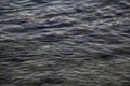 Shallow dark sea water with pebbles and rocks and seaweed on its bottom