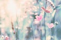 Shallow depth beautiful wildflowers, butterfly in the dreamy meadow. Delicate retro colors pastel toned. Macro background.