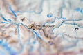 Shallow depth of field focus on geographical map location of Mount Robson in Canada North America continent on atlas Royalty Free Stock Photo