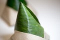 Shallow depth of field focus on nasi lemak bungkus packed fragrance rice national breakfast dish of malaysia indonesia singapore