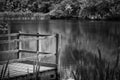 Shallow depth of field landscape image of vibrant peaceful Summer lake in English countryside in black and white