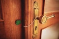 Shallow depth of field selective focus details with a broken wax seal on an old massive wooden door Royalty Free Stock Photo