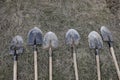 Shallow depth of field selective focus details of dirty shovels during a tree plantation