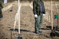 Shallow depth of field selective focus image with a man during a massive tree planting project Royalty Free Stock Photo